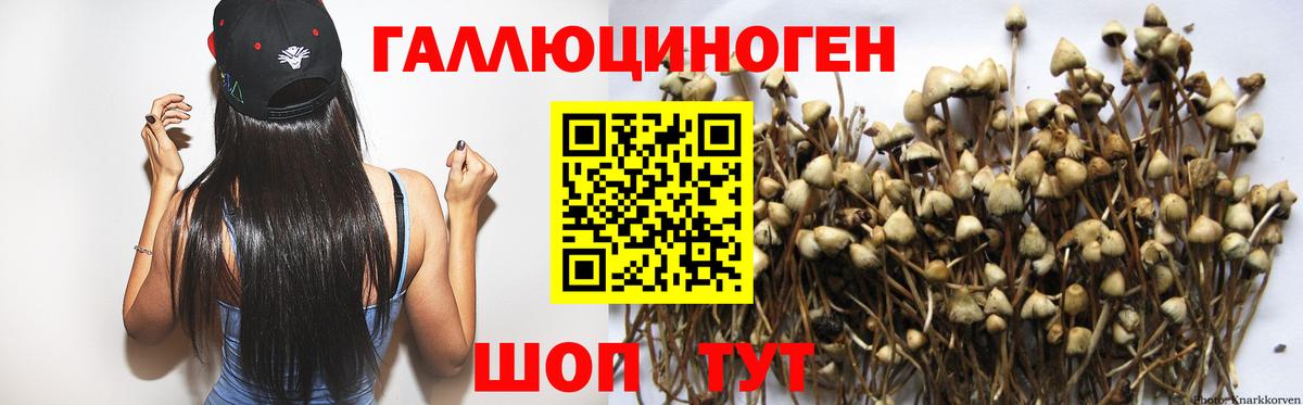 Псилоцибиновые грибы мухоморы  Галлюциногенные грибы мухоморы  Алушта  Вход с VPN 